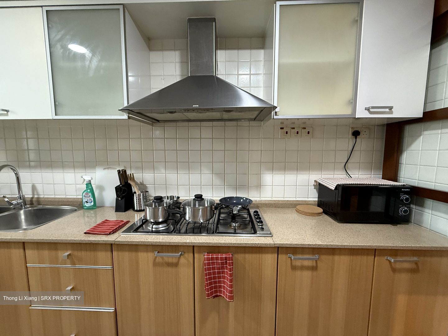 The Eden At Tampines (D18), Condominium #504410461